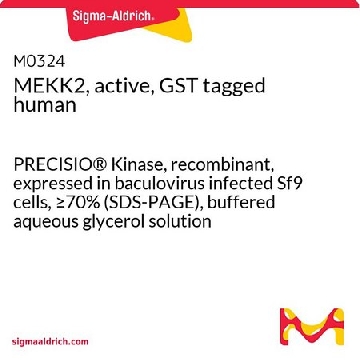 MEKK2, active, GST tagged human，10UG，M0324-10UG，Sigma