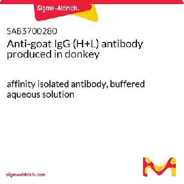 Anti-goat IgG (H+L) antibody produced in donkey，2MG，SAB3700280-2MG，Sigma