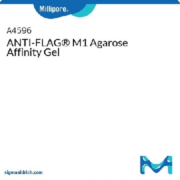 ANTI-FLAG® M1琼脂糖亲和凝胶，1ML，A4596-1ML，密理博