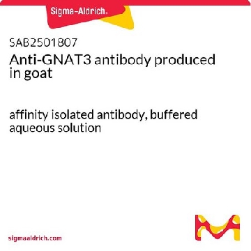 Anti-GNAT3 antibody produced in goat，100UG，SAB2501807-100UG，Sigma
