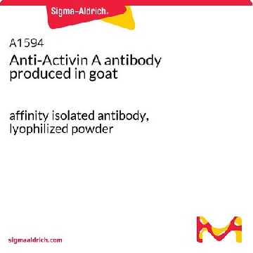 Anti-Activin A antibody produced in goat，0.1MG，A1594-.1MG，Sigma