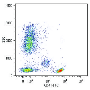 Monoclonal Anti-CD4-FITC , (N-terminal) antibody produced in mouse，100TEST，SAB4700062-100TST，Sigma
