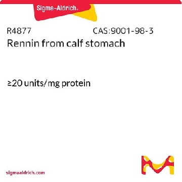 肾素 来源于小牛胃，100MG，R4877-100MG，Sigma