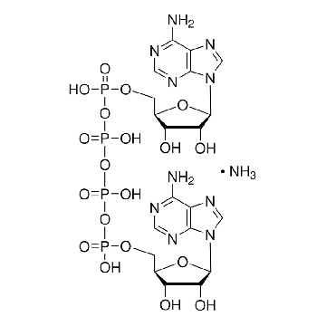 P¹,P⁴-二(腺苷-5′) 四磷酸 铵盐，10MG，D1262-10MG，Sigma