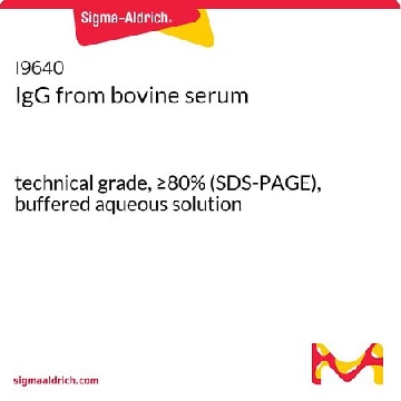 IgG 来源于牛血清，100MG，I9640-100MG，Sigma