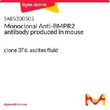 Monoclonal Anti-BMPR2 antibody produced in mouse，100UL，SAB5300505-100UL，Sigma