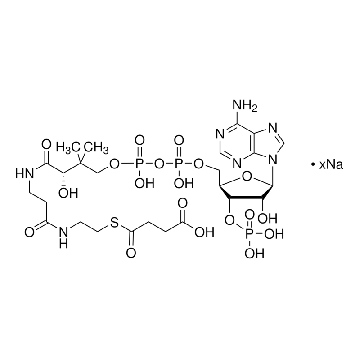 琥珀酰辅酶A 钠盐，25MG，S1129-25MG，Sigma