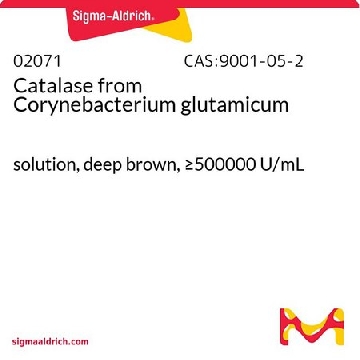 过氧化氢酶 来源于谷氨酸棒状杆菌，1ML，02071-1ML-F，Sigma