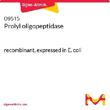 Prolyl oligopeptidase，20UG，O9515-20UG，Sigma