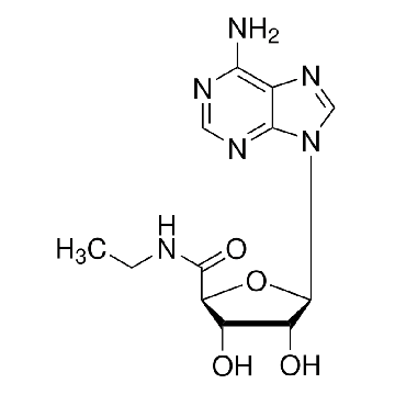 5′-（N-乙基羧酰胺基）腺苷，50MG，E2387-50MG，Sigma