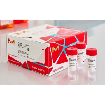 MilliShot® Antibiotic Antimycotic Solution，，A9571-20X5ML，Sigma