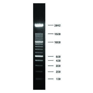 DNA分子量标记XIV（梯度为100 bp），50UG，11721933001，Roche
