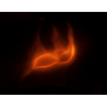 抗-Derlin-2 兔抗，100UL，D1194-100UL，Sigma