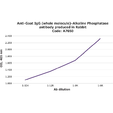 Anti-Goat IgG (whole molecule)–Alkaline Phosphatase antibody produced in rabbit，1ML，A7650-1ML，Sigma