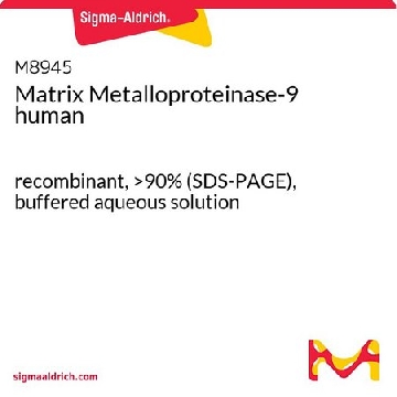 基质金属蛋白酶-9 人，10UG，M8945-10UG，Sigma