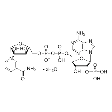 β-磷酸烟酰胺腺嘌呤二核苷酸 水合物，250MG，N5755-250MG，Sigma