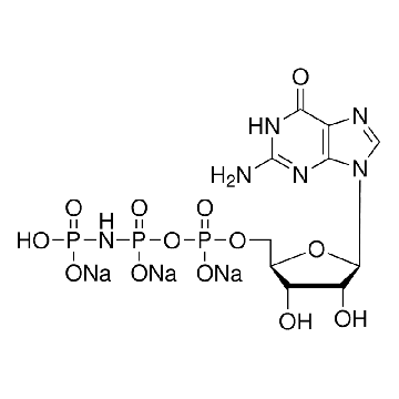鸟苷5′-[β,γ-亚氨基]三磷酸 三钠盐 水合物，100MG，G0635-100MG，Sigma