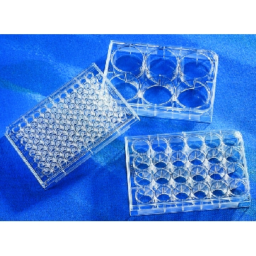 Corning® 96孔经TC处理微孔板，50EA，CLS3595-50EA，Sigma