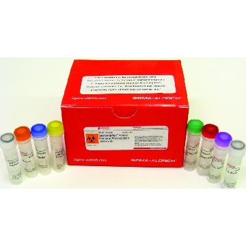 GenomePlex® Whole Genome Amplification (WGA) Kit，50REACTIONS，WGA1-50RXN，Sigma