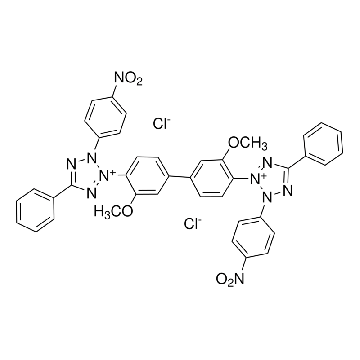 NBT，5G，11585029001，Roche