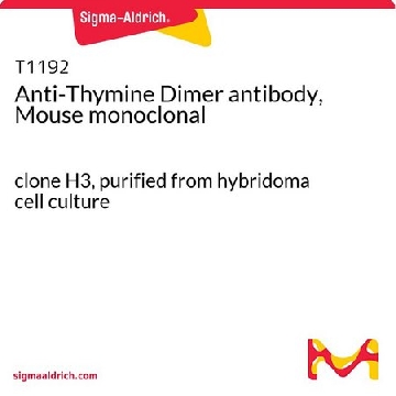 抗-胸腺嘧啶二聚体抗体，小鼠单克隆抗体，25UL，T1192-25UL，Sigma