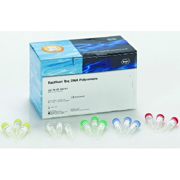 FastStart™ Taq DNA聚合酶，5 U / μl，1,250REACTIONS，12032945001，Roche