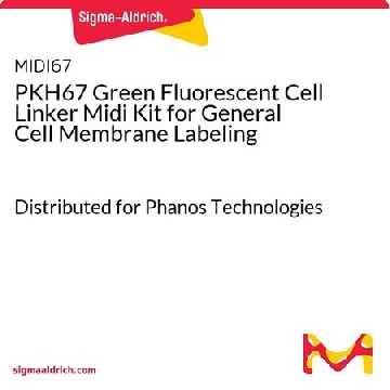PKH67 Green Fluorescent Cell Linker Midi Kit，用于常规细胞膜标记，1KIT，MIDI67-1KT，Sigma
