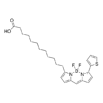 BODIPY 558/568 C12, Red，1MG，SML4163-1MG，Sigma