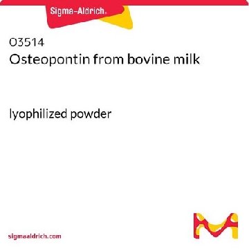 Osteopontin from bovine milk，50UG，O3514-50UG，Sigma
