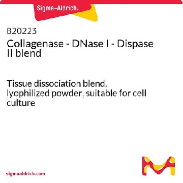 Collagenase - DNase I - Dispase II blend，1VIAL，B20223-1VL，Sigma