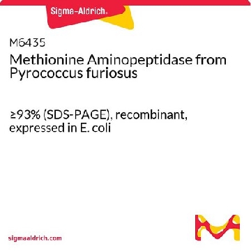 Methionine Aminopeptidase from Pyrococcus furiosus，0.02UNIT，M6435-.02UN，Sigma