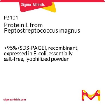 Protein L from Peptostreptococcus magnus，5MG，P3101-5MG，Sigma