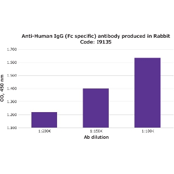 Anti-Human IgG (Fc specific) antibody produced in rabbit，2ML，I9135-2ML，Sigma
