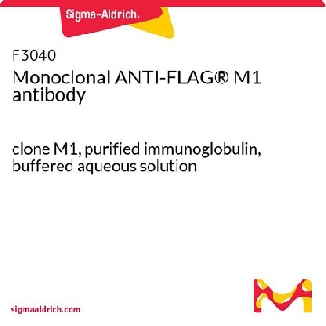 抗FLAG® M1单克隆抗体 小鼠抗，1MG，F3040-1MG，Sigma