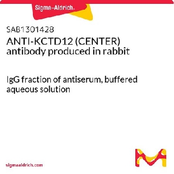 ANTI-KCTD12 (CENTER) antibody produced in rabbit，400UL，SAB1301428-400UL，Sigma