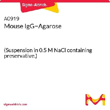 小鼠 IgG-琼脂糖类，5ML，A0919-5ML，Sigma