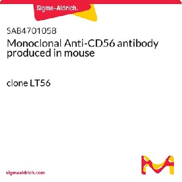Monoclonal Anti-CD56 antibody produced in mouse，100UG，SAB4701058-100UG，Sigma