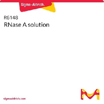 RNase A 溶液，25ML，R6148-25ML，Sigma