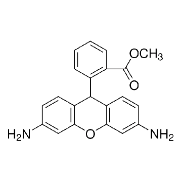 二氢罗丹明123，10MG，D1054-10MG，Sigma