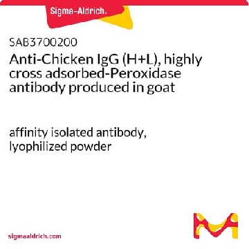 Anti-Chicken IgG (H+L), highly cross adsorbed-Peroxidase antibody produced in goat，1MG，SAB3700200-1MG，Sigma