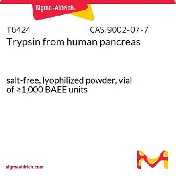 胰蛋白酶 来源于人类胰腺，1VIAL，T6424-1VL，Sigma
