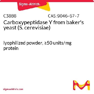 羧肽酶 Y 来源于面包酵母（酿酒酵母），1MG，C3888-1MG，Sigma