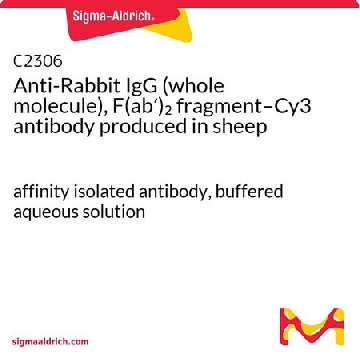 抗  兔 IgG（全分子）、F（ab′ 2  片段 –Cy3 绵羊抗，1ML，C2306-1ML，Sigma