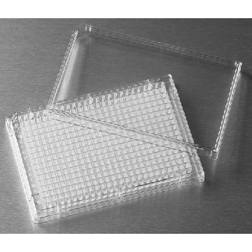 康宁® 384 孔板，100EA，CLS3680-100EA，Sigma