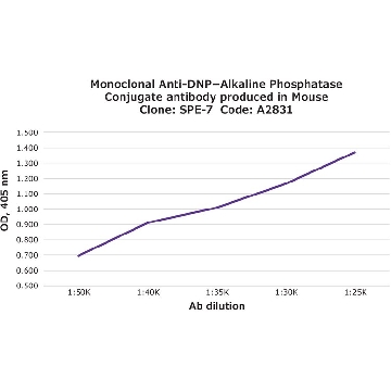小鼠抗-DNP−碱性磷酸酶偶联物 小鼠抗，0.5ML，A2831-.5ML，Sigma