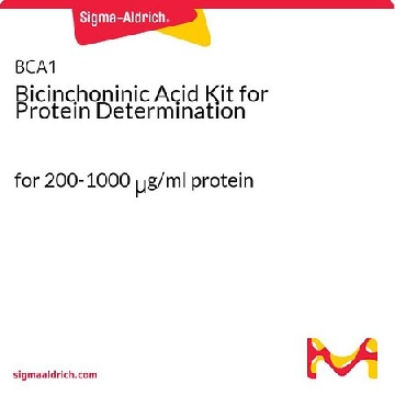 BCA(Bicinchoninic Acid)蛋白定量试剂盒，1KIT，BCA1-1KT，Sigma