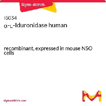 α- L -艾杜糖醛酸酶 人，10UG，I6034-10UG，Sigma