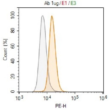 Anti-KLRG1 Antibody, clone 1H10 ZooMAb® Rabbit Monoclonal，，ZRB2541-4X25UL，Sigma
