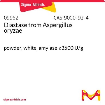 淀粉糖化酶 来源于米曲霉，500G，09962-500G，Sigma
