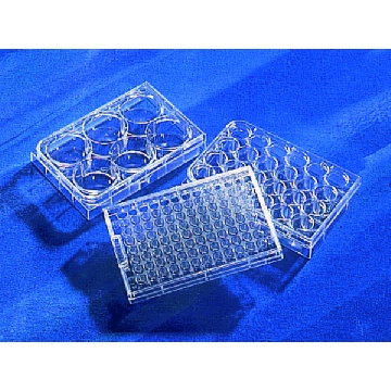 Corning® Costar® 超低附着多孔板，24EA，CLS3474-24EA，Sigma